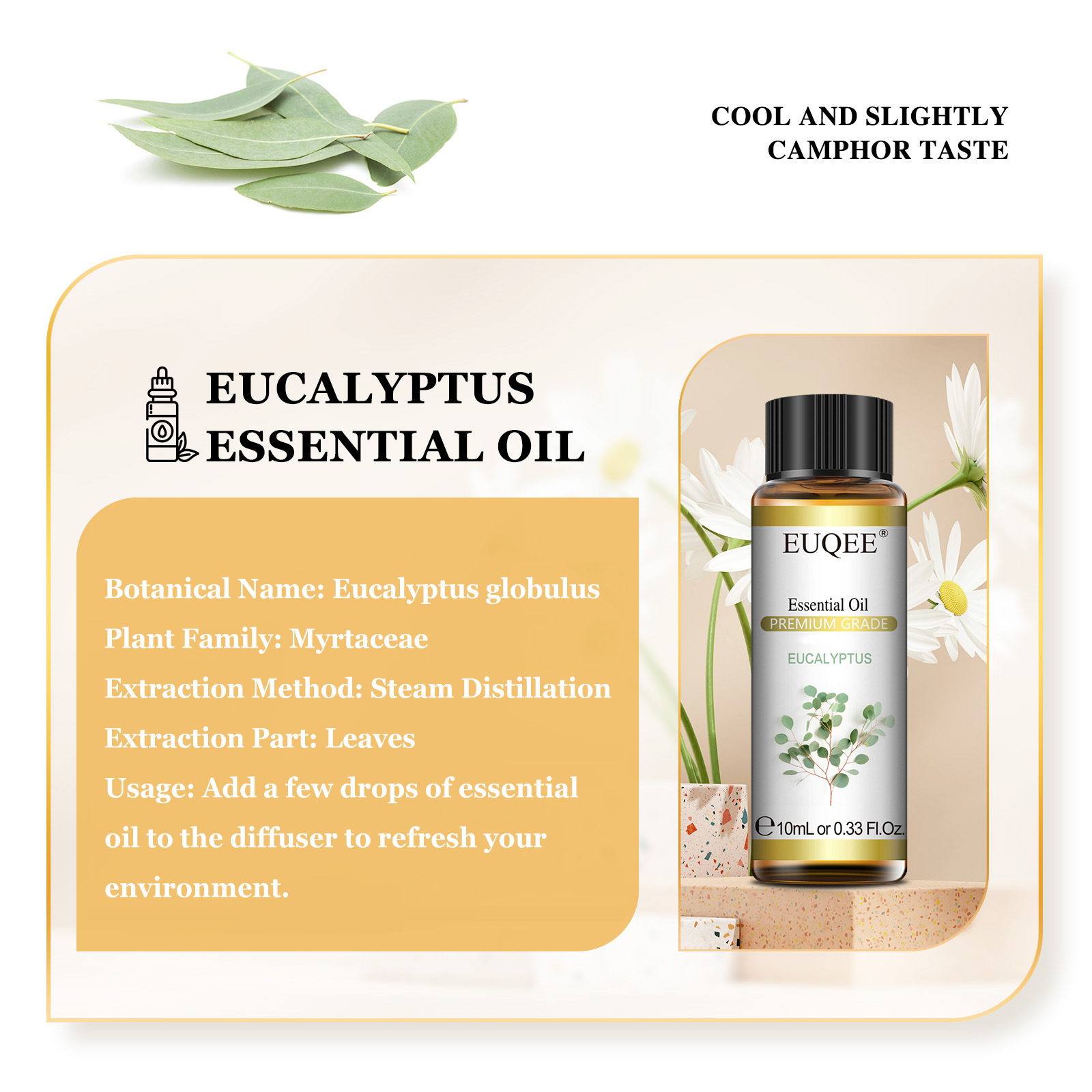 EUQEE 10ML 천연 에센셜 오일 유칼립투스 스피어 - Soap Making Essential Oils 리뷰 및 가격
