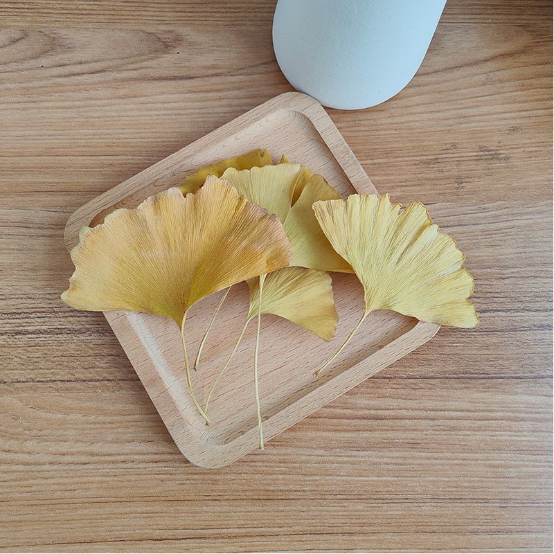 천연 은행잎 건조 잎 DIY 비누 양초 만들기 웨딩 홈 - Soap Making Home 리뷰 및 가격
